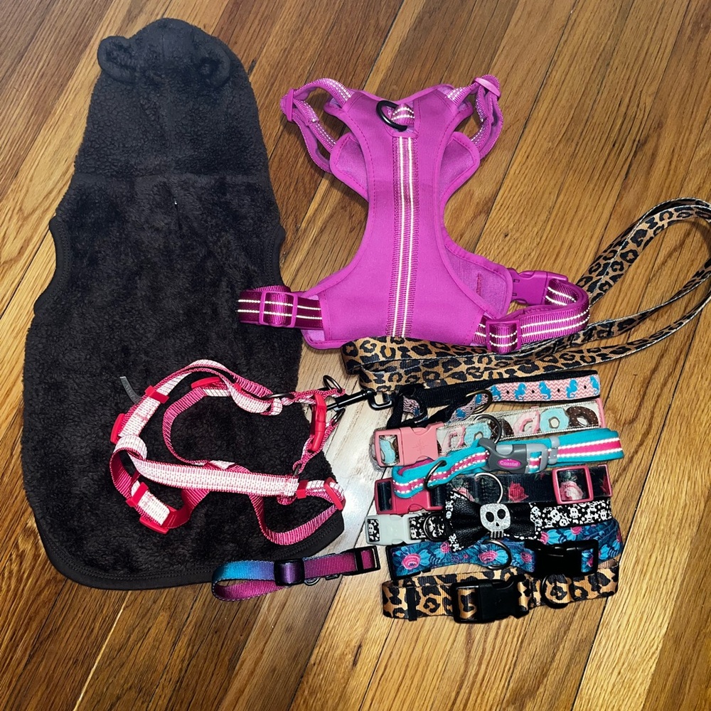 Bundle/lot of Girly Dog Accessories